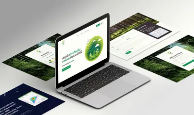 Forest Carbon