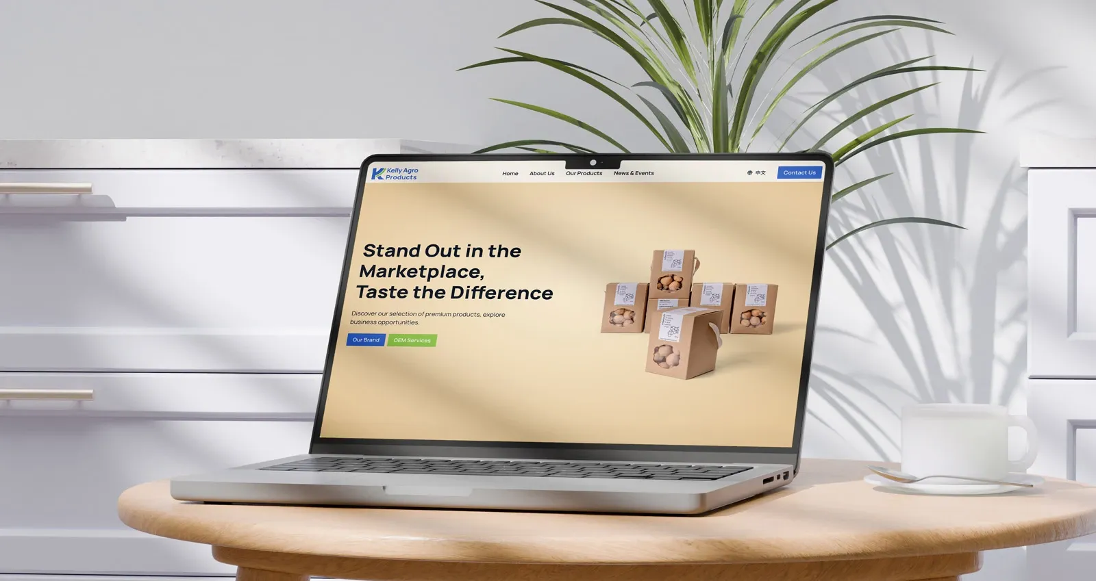 Website design for dehydrated longan business
